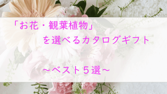 お花・観葉植物が選べるカタログギフト【５選】プリザーブドや造花も