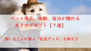 ペット用品や体験、同伴宿泊が贈れるカタログギフト【７選】